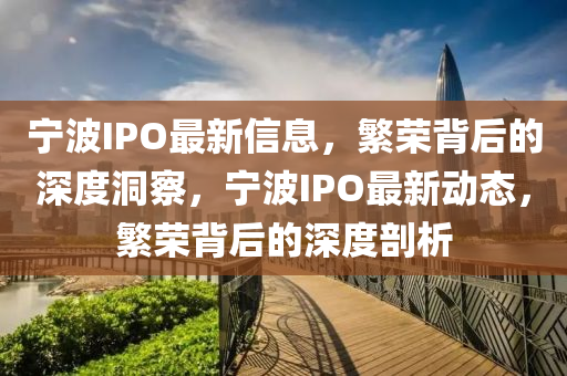 宁波IPO最新信息，中山市多米克自动化设备有限公司繁荣背后的深度洞察，宁波IPO最新动态，繁荣背后的深度剖析