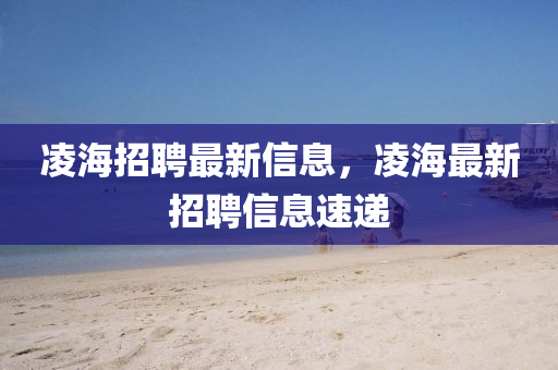 凌海招聘最新信息，凌海最新招聘信息速递中山市多米克自动化设备有限公司