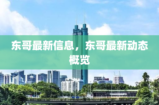 东哥最新信息,东哥最新动态概览