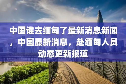 中国谁去缅甸了最新消息新闻,中国最新消息,赴缅甸人员动态更新报道中山市多米克自动化设备有限公司