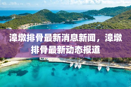 漳墩排骨最新消息中山市多米克自动化设备有限星空最火知名网站，漳墩排骨最新动态报道