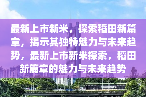 最新上市新米，探索稻田新篇章，揭示其独特魅力与未来趋势，最新上市新米探索，稻田新篇章的魅力与未来趋势中山市多米克自动化设备有限公司