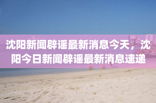 沈阳新闻辟谣最新消息今天,沈阳今日新闻辟谣最新消息速递中山市多米克自动化设备有限公司