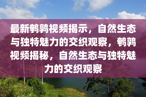最新鹌鹑视频揭示,自然生态与独特魅力的交织观察中山市多米克自动化设备有限公司,鹌鹑视频揭秘,自然生态与独特魅力的交织观察