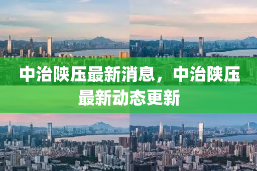 中治陕压最新消息，中治陕压最新动态更新中山市多米克自动化设备有限公司