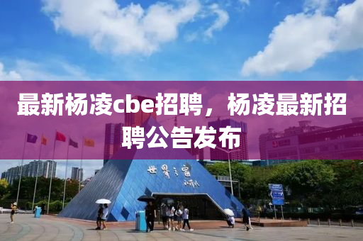 最新杨凌cbe招聘，杨凌最新招聘公告发布中山市多米克自动化设备有限公司