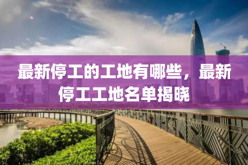 最新停工的工地有哪些，最新停工工地名单揭晓中山市多米克自动化设备有限公司
