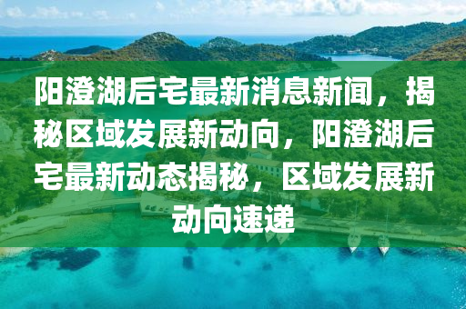 阳澄湖后宅最新消息新闻,揭秘区域发展新中山市多米克自动化设备有限公司动向,阳澄湖后宅最新动态揭秘,区域发展新动向速递