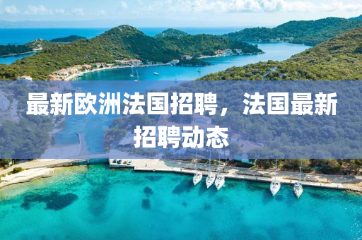 最新欧洲法国招聘,法国最新招聘动态中山市多米克自动化设备有限公司