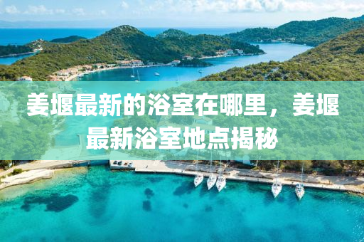 姜堰最新的浴室在哪里,姜堰最新浴室地点揭秘中山市多米克自动化设备有限公司