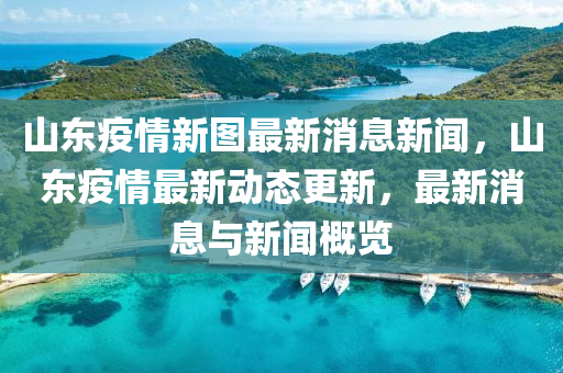 山东疫情新图最新消息新闻,山东疫情最新动态更新,最新消息与新闻概览中山市多米克自动化设备有限公司
