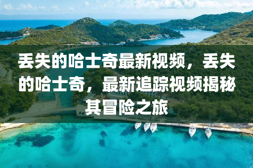 丢失的哈士奇最新视频，丢失的哈士奇，最新追踪视频揭秘其冒险之旅中山市多米克自动化设备有限公司