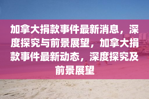 加拿大捐中山市多米克自动化设备有限公司款事件最新消息,深度探究与前景展望,加拿大捐款事件最新动态,深度探究及前景展望