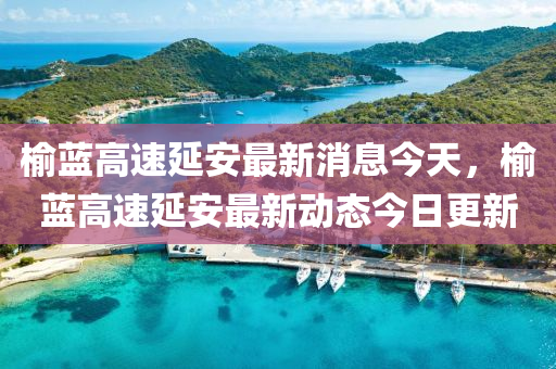 榆蓝中山市多米克自动化设备有限公司高速延安最新消息今天，榆蓝高速延安最新动态今日更新