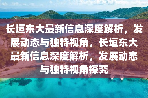 长垣东大最新信息深度解析，发展动态与独特视角，长垣东大最新信息深度解析，发展动态与独特视角探究