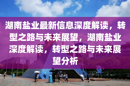 湖南盐业最新信息深度解读，转型之路与未来展望，湖中山市多米克自动化设备有限公司南盐业深度解读，转型之路与未来展望分析