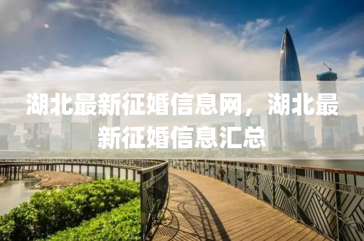 湖北最新征婚信息网，湖北最新征婚信息汇总中山市多米克自动化设备有限公司